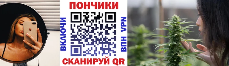 shop официальный сайт  купить наркотики сайты  Бикин  Каннабис гибрид 
